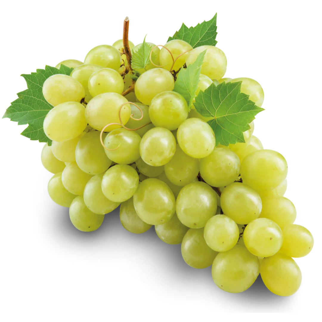 Grapes Green Seedless Iran