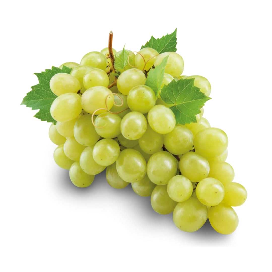 Grapes Green Seedless Iran