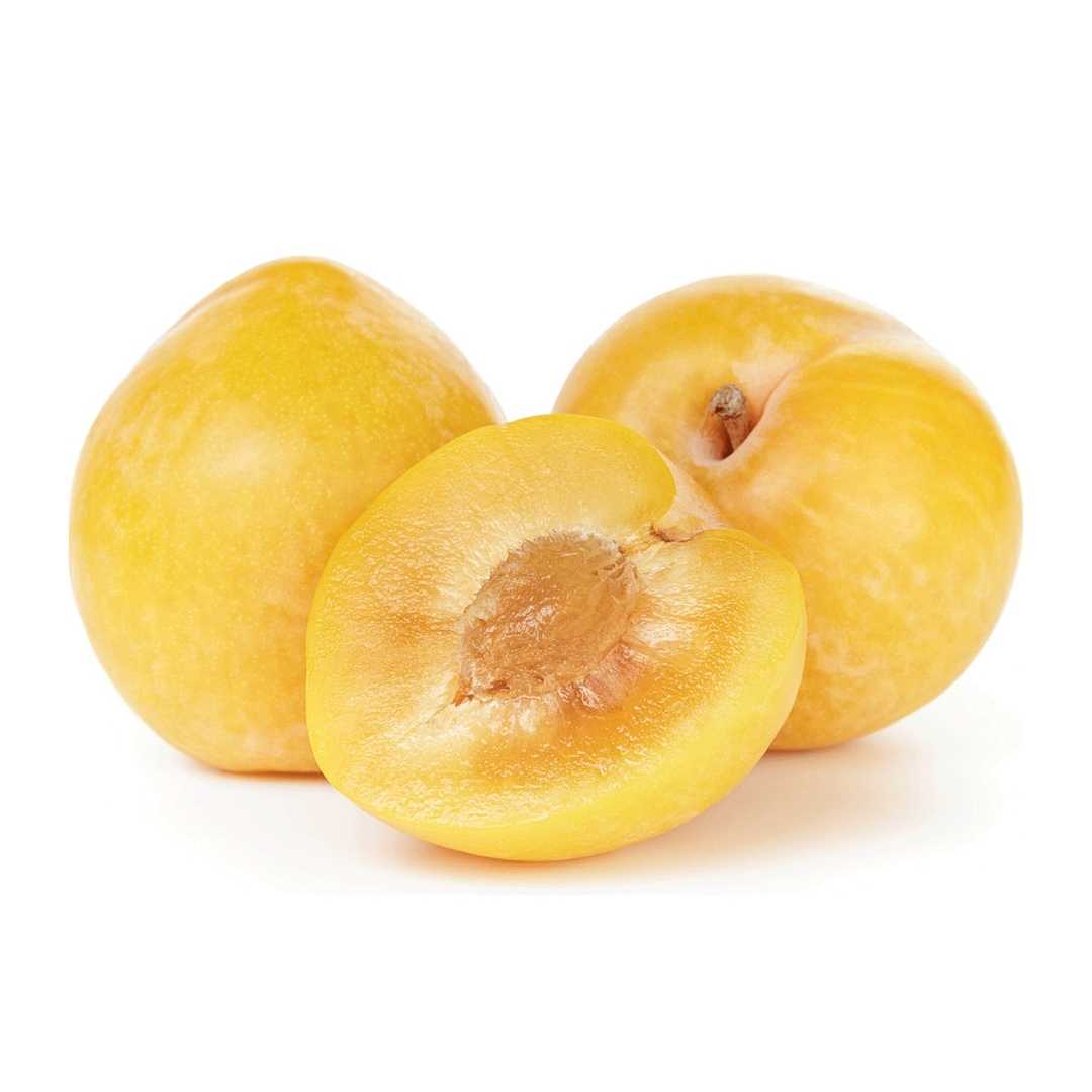 Yellow Plum South Africa