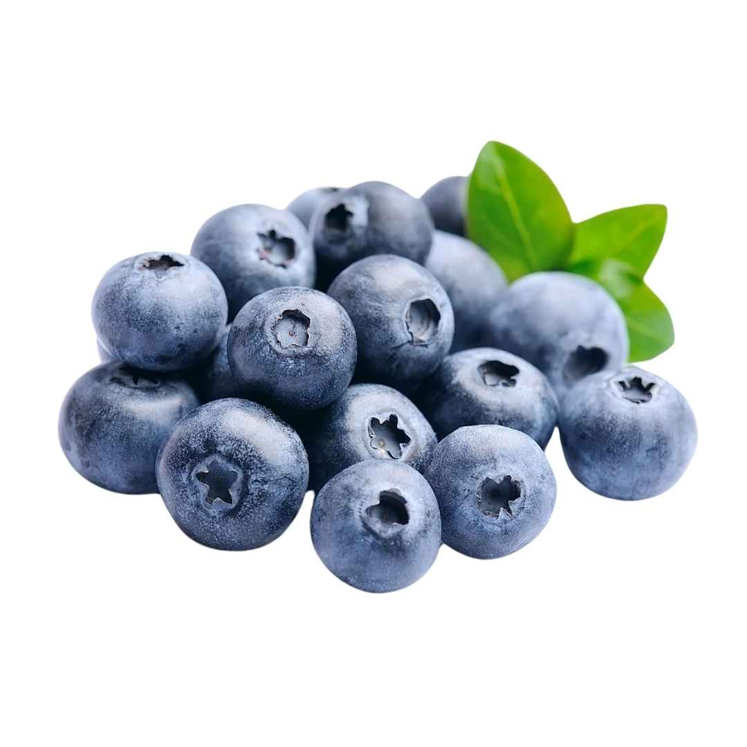 Blueberry South Africa