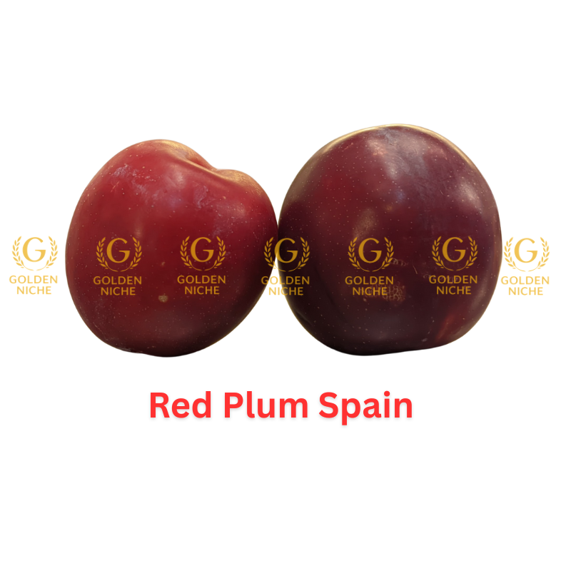 Red Plum Spain - Image 3