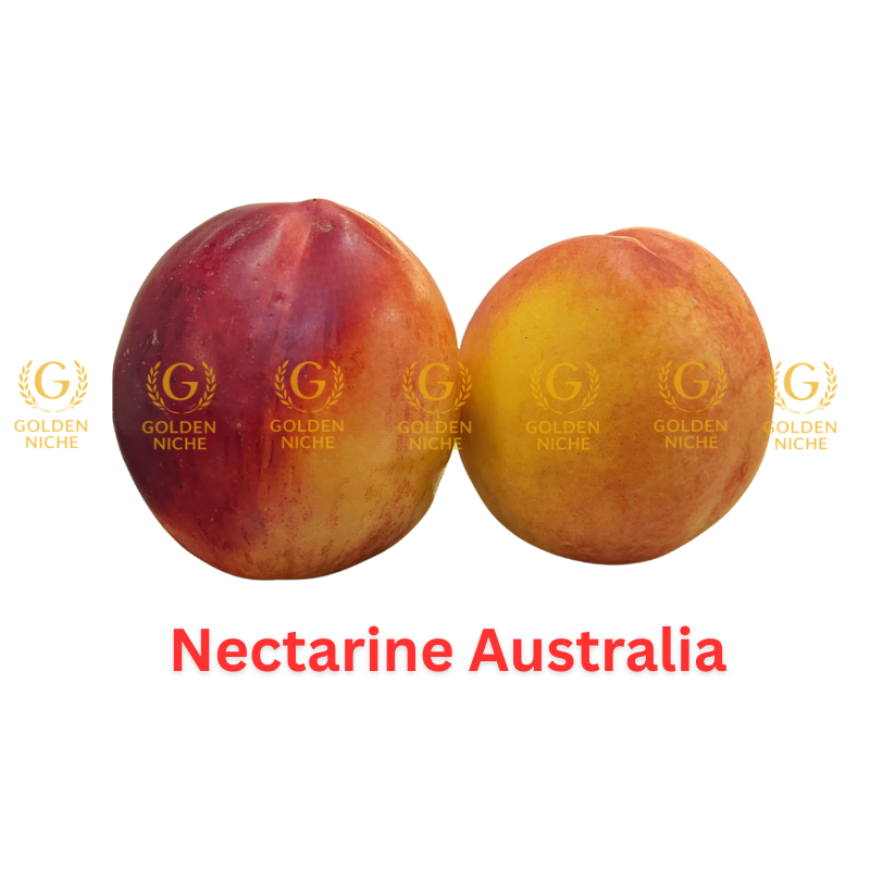 Nectarine Australia - Image 1