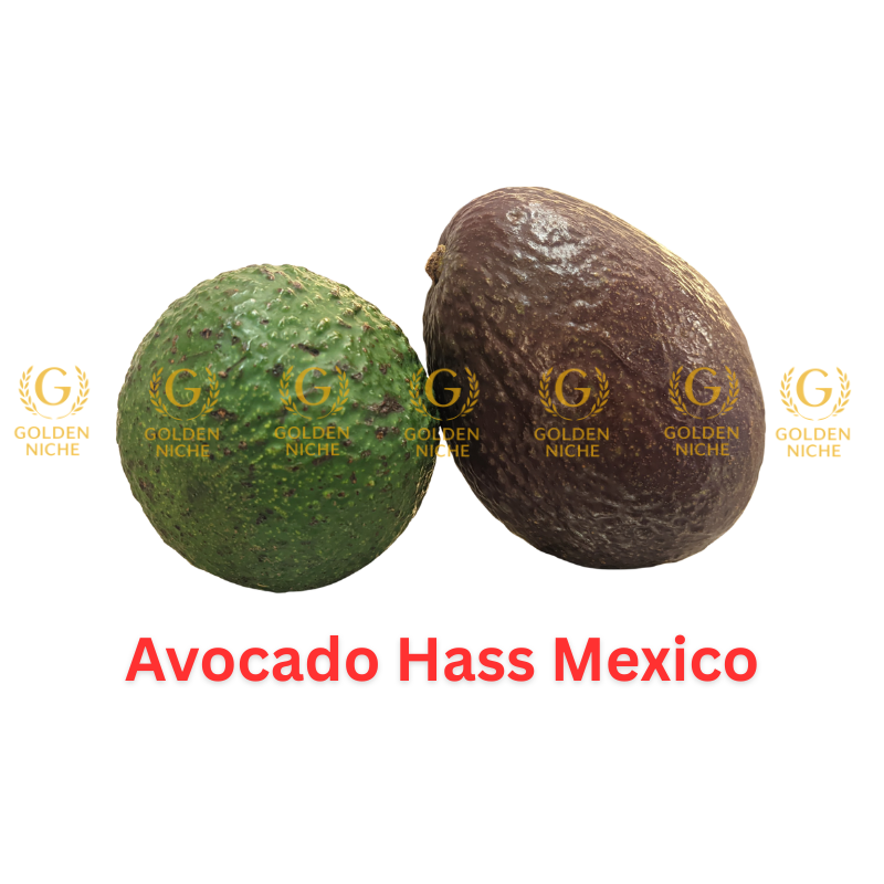 Avocado Hass Mexico - Image 3