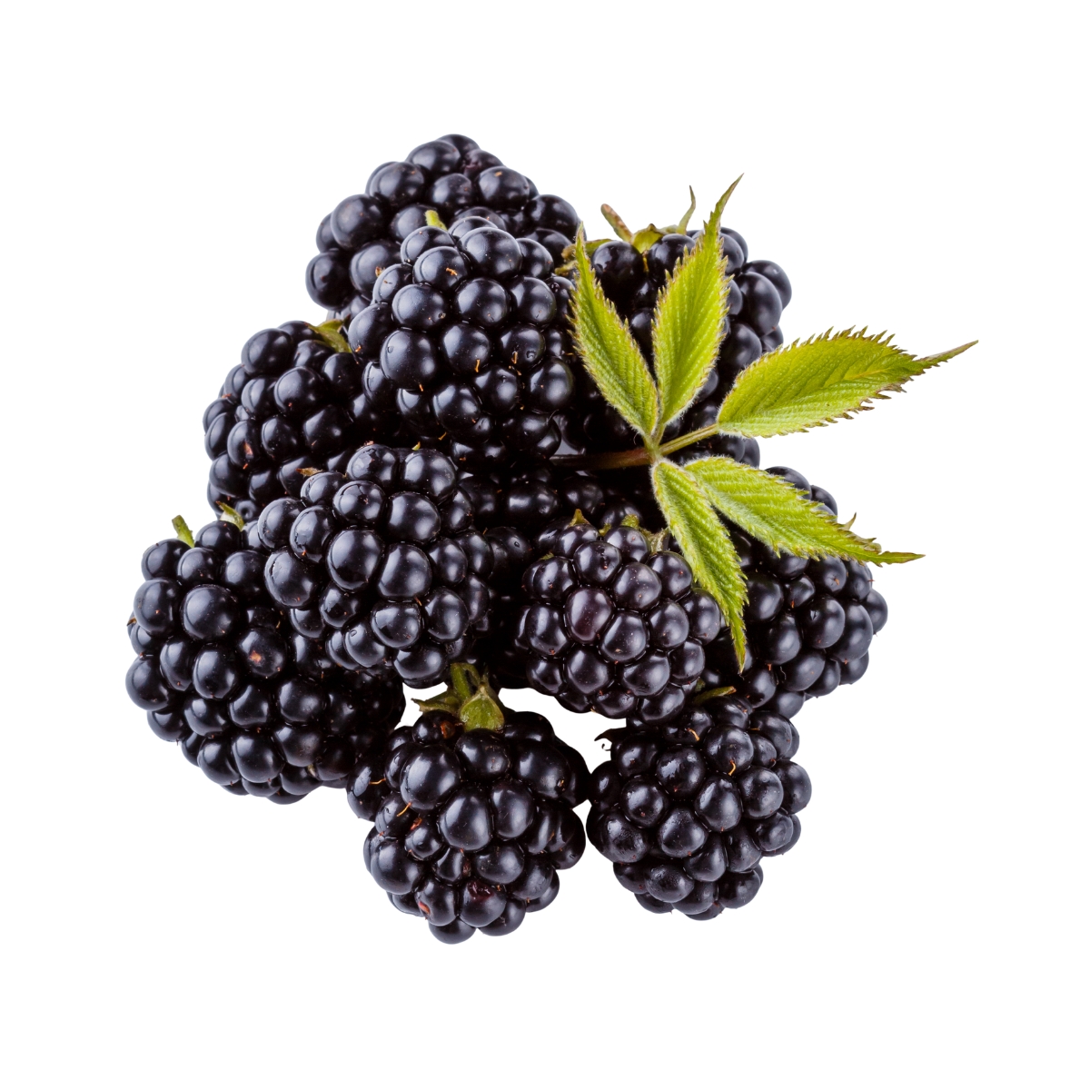 Blackberry - Image 2