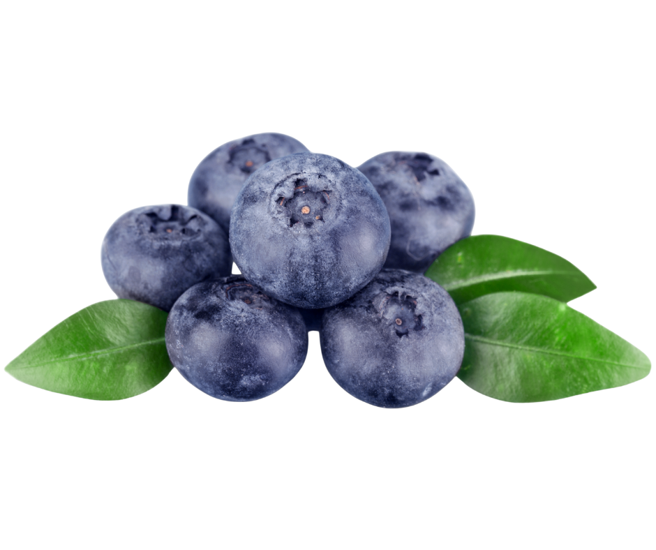 Blueberry South Africa - Image 1